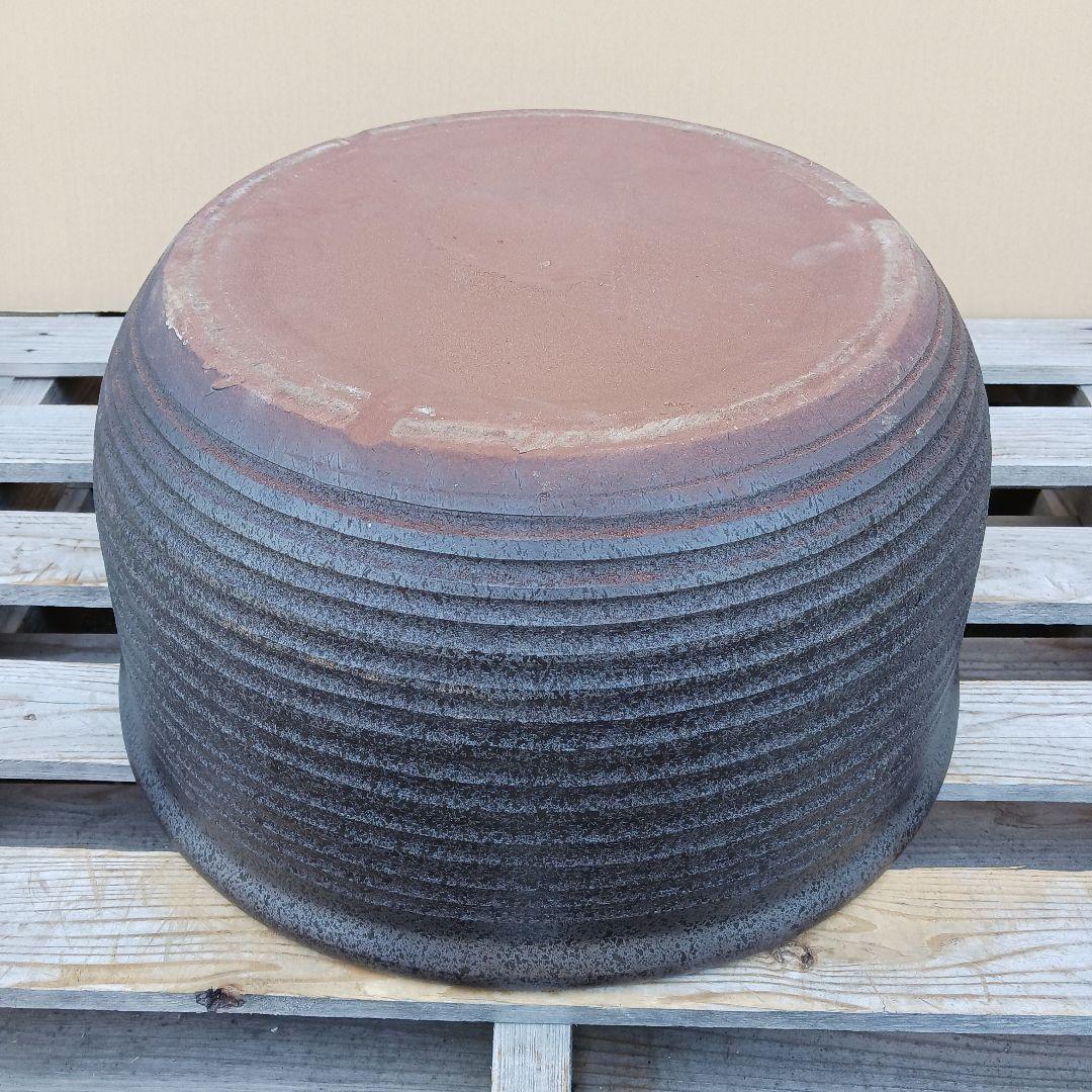 新品　特大50　陶器睡蓮鉢　メダカ鉢　難有　エメラルドグリーン　緑黒　高級LBK