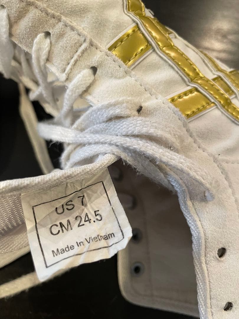 ASICS リングシューズ ホワイト/ゴールド