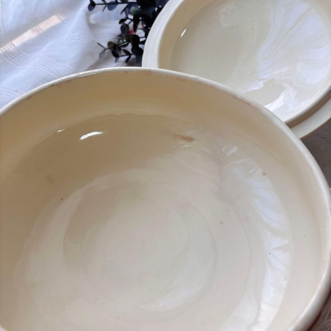 【希少】ディゴワン サルグミンヌ アグレスト レギュミエ