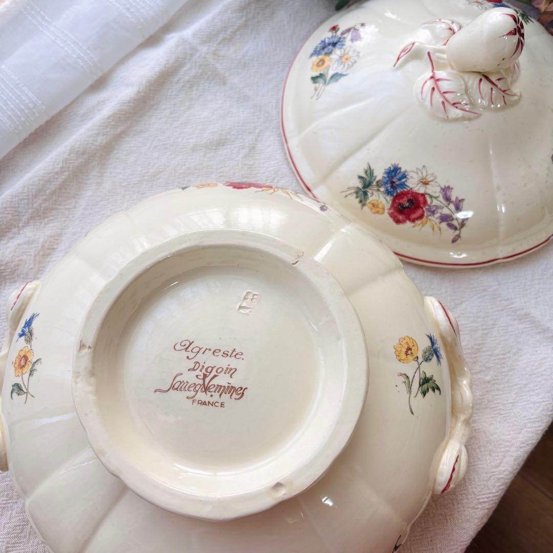 【希少】ディゴワン サルグミンヌ アグレスト レギュミエ