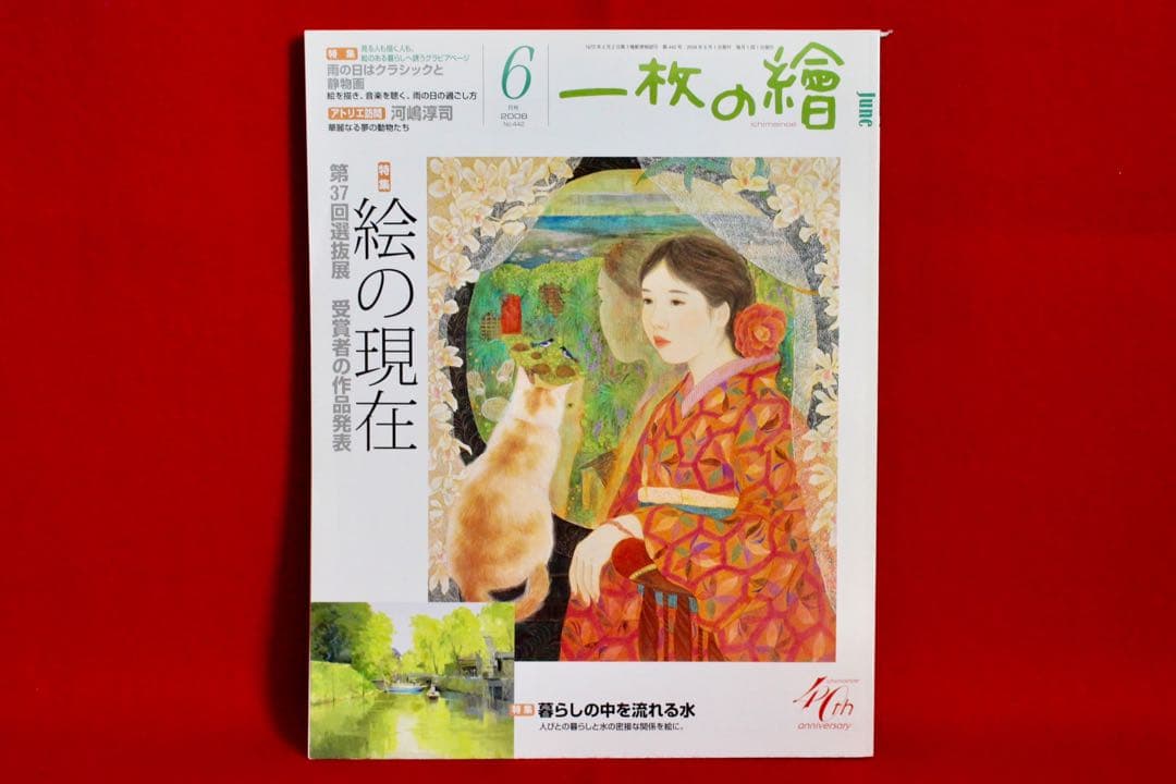 花乙女コレクション【中井智子　鏡の向こう】購入金額より60％お値引き！！