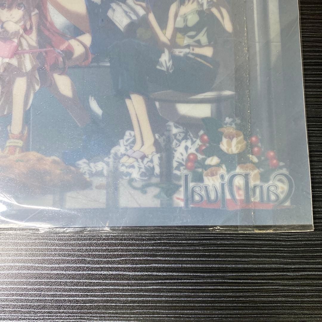 【未使用】CARNIVAL クリアファイル S.M.L