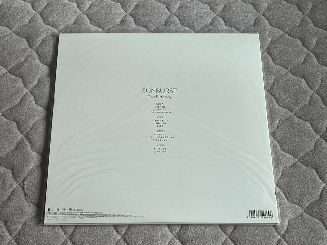 The Birthday SUNBURST アナログレコード LP チバユウスケ