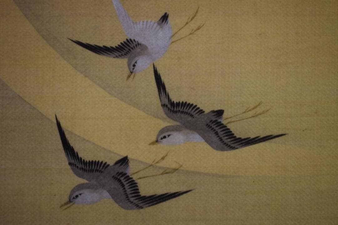 複製/酒井抱一/三ヶ月千鳥図/工芸/桐共箱付/布袋屋掛軸HI-566