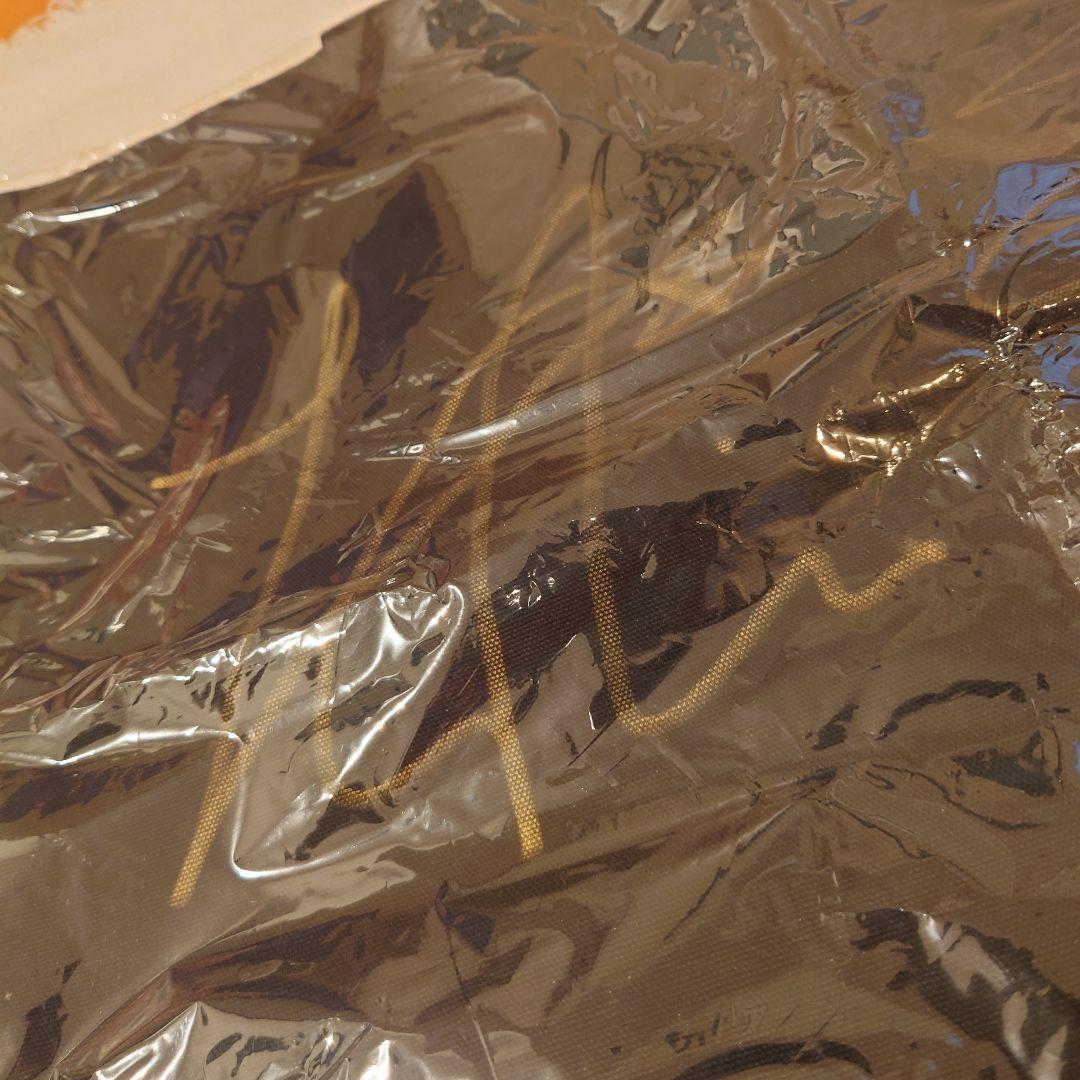 貴重 サイン入り ASTRO ジンジン ユンサナ 愛の不時着 公式 トートバッグ