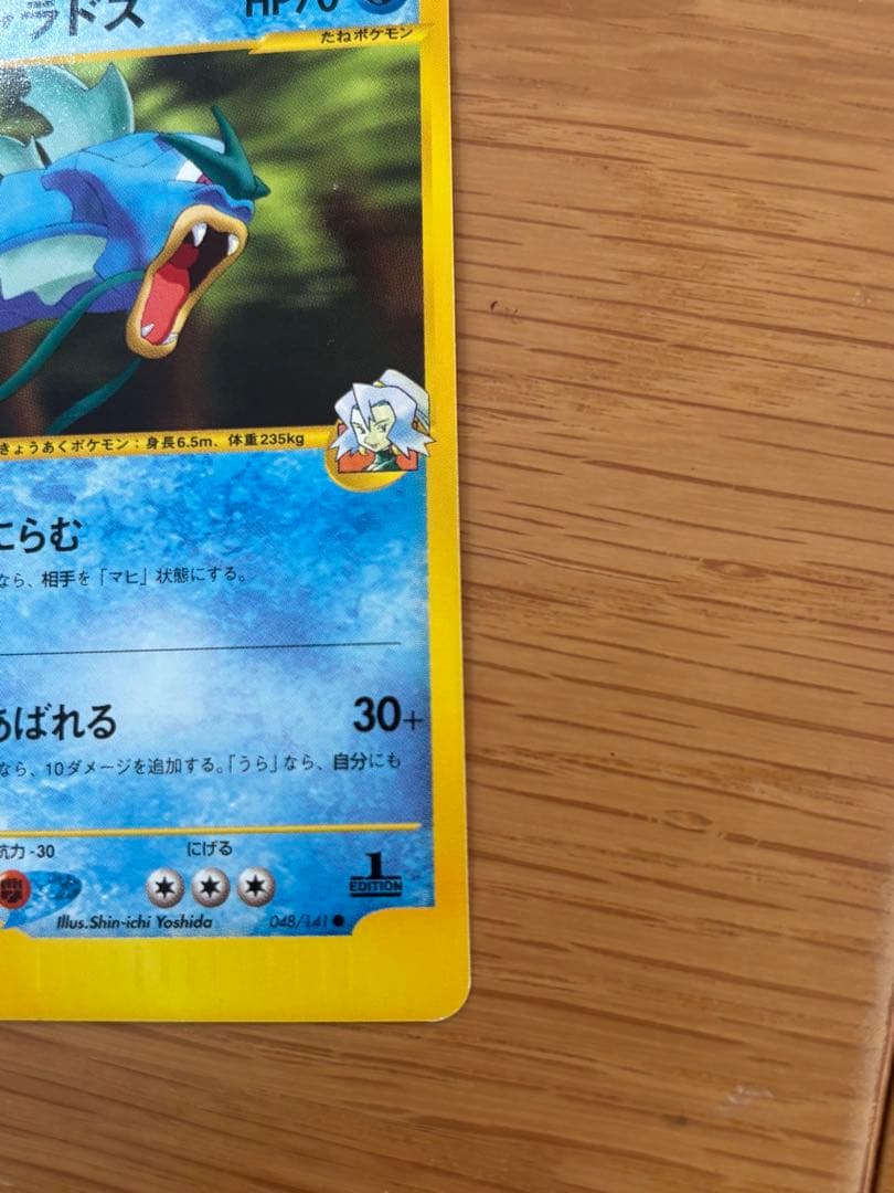 イブキシリーズ　セット売り