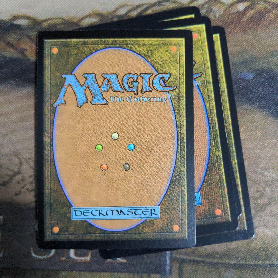 MTG　新緑の地下墓地/Verdant Catacombs　Foil　4枚