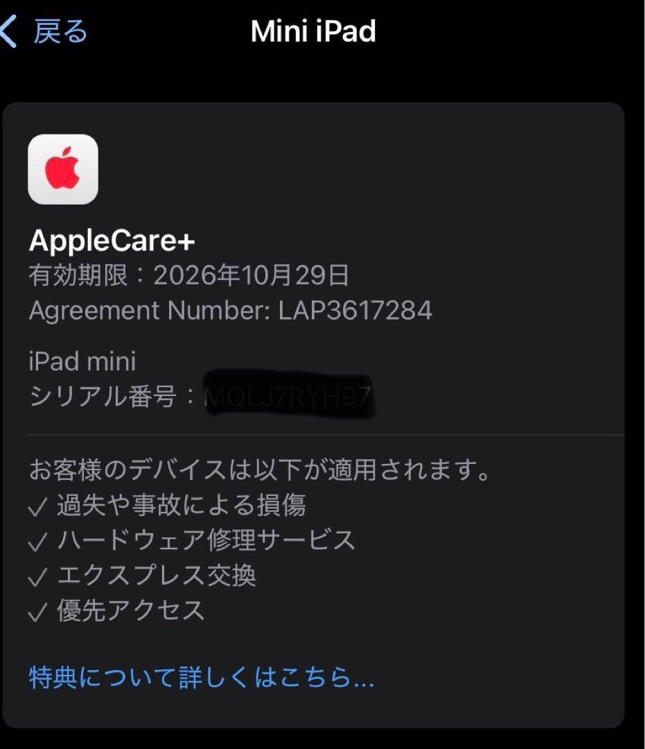 IPad Mini A17 PRO 128gb - スペースグレイ