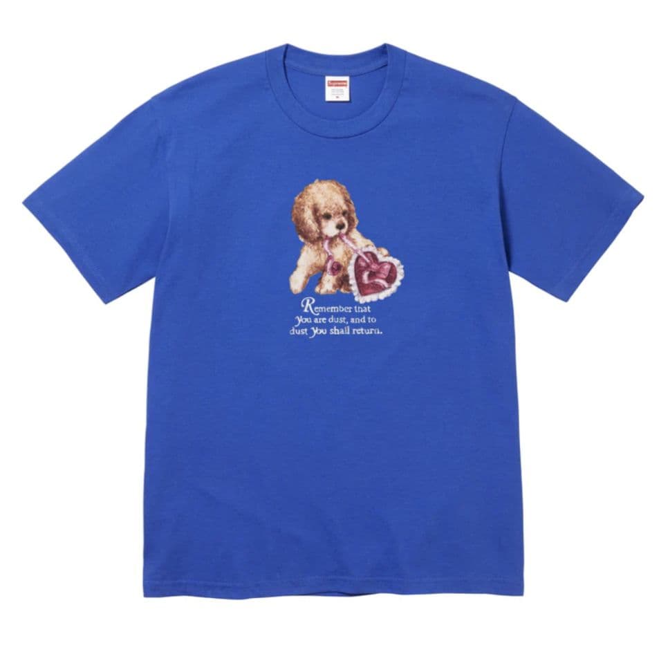 トップス Supreme Dust Tee  xxl