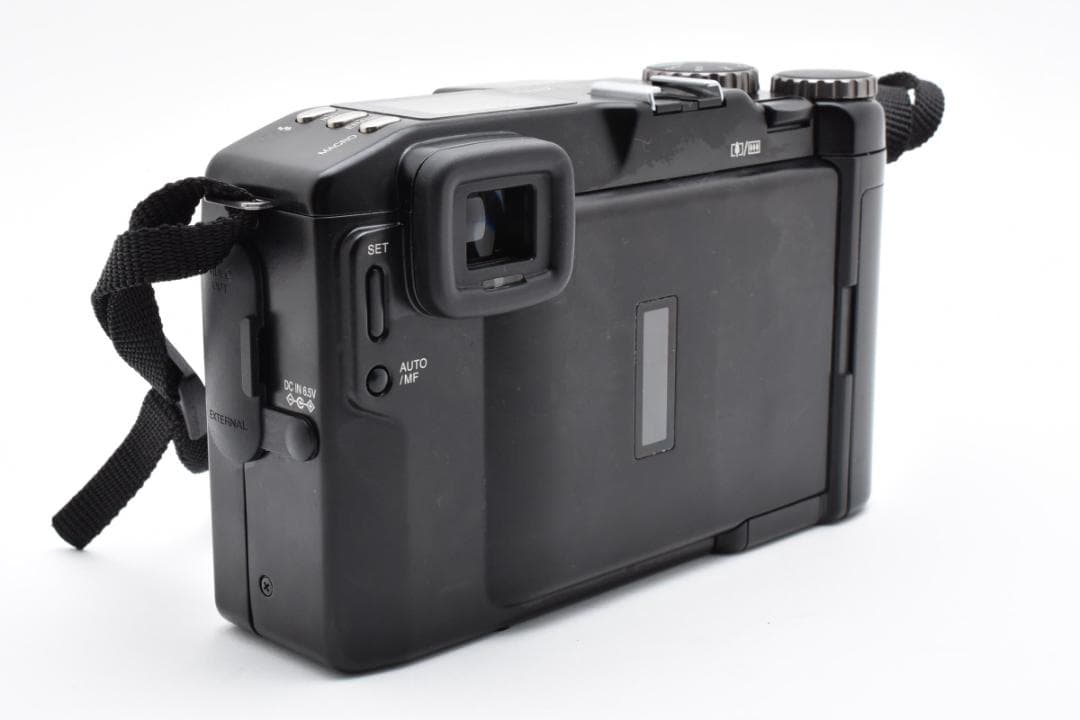 富士フイルム FUJIFILM FUJIX DS-300 キャリング LC-D3