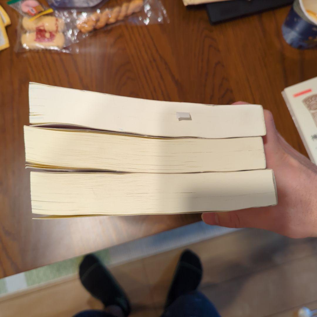 ドイツの憲法判例 三冊セット