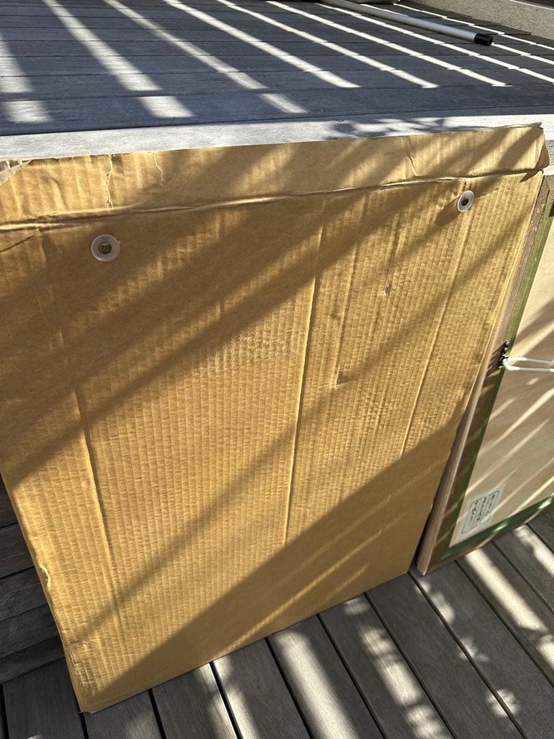 青木義照　唐辛子