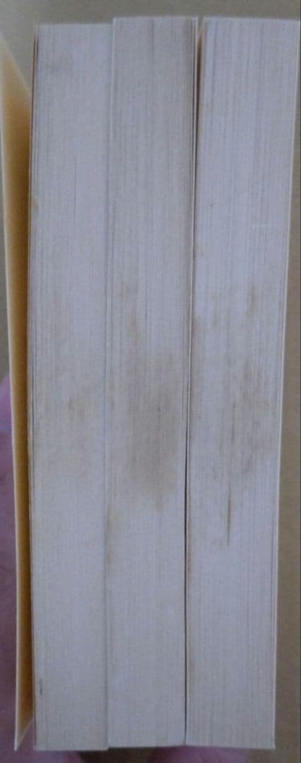 アベールをさがして 全3巻セット