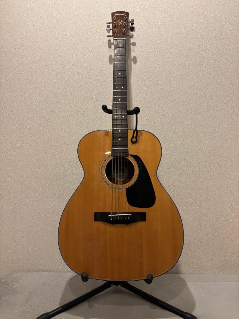 Morris F-01 Ⅱ NAT 比較的綺麗