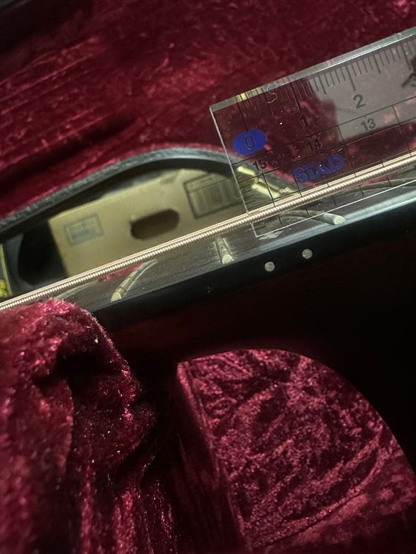 【mac】taylor 324ce black wood