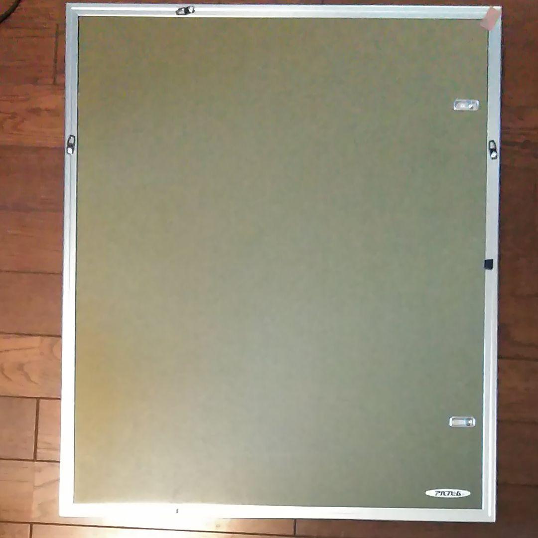 日本画　油絵用　ステンレス額縁　F6 60%OFF!!