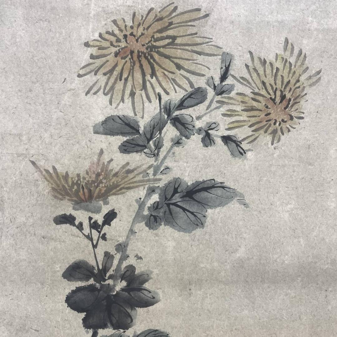 真作/浦上春琴/菊花三種之図/花鳥/絹表装/布袋屋掛軸A-234