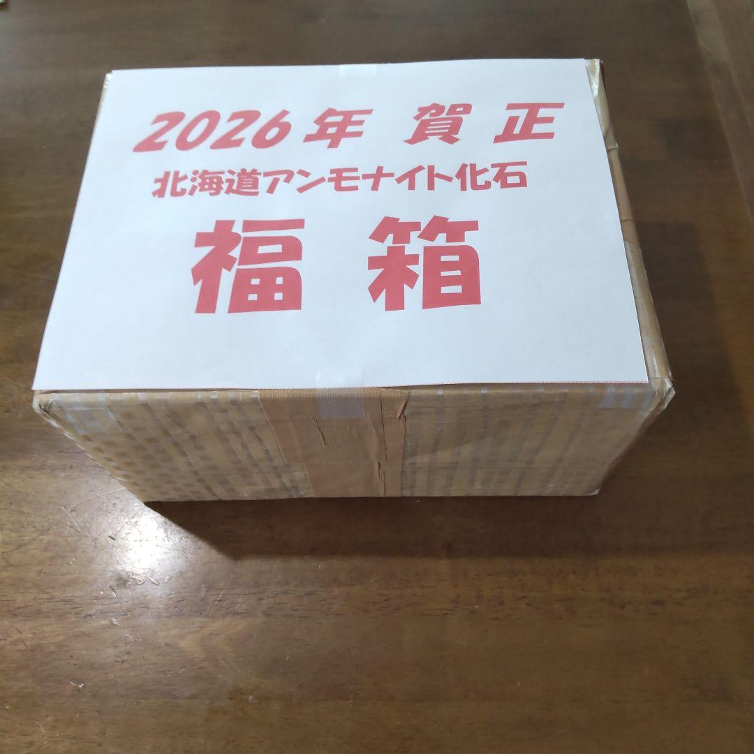 2026 年新春　北海道アンモナイト化石 の福箱 ＋知識資料4点　その2