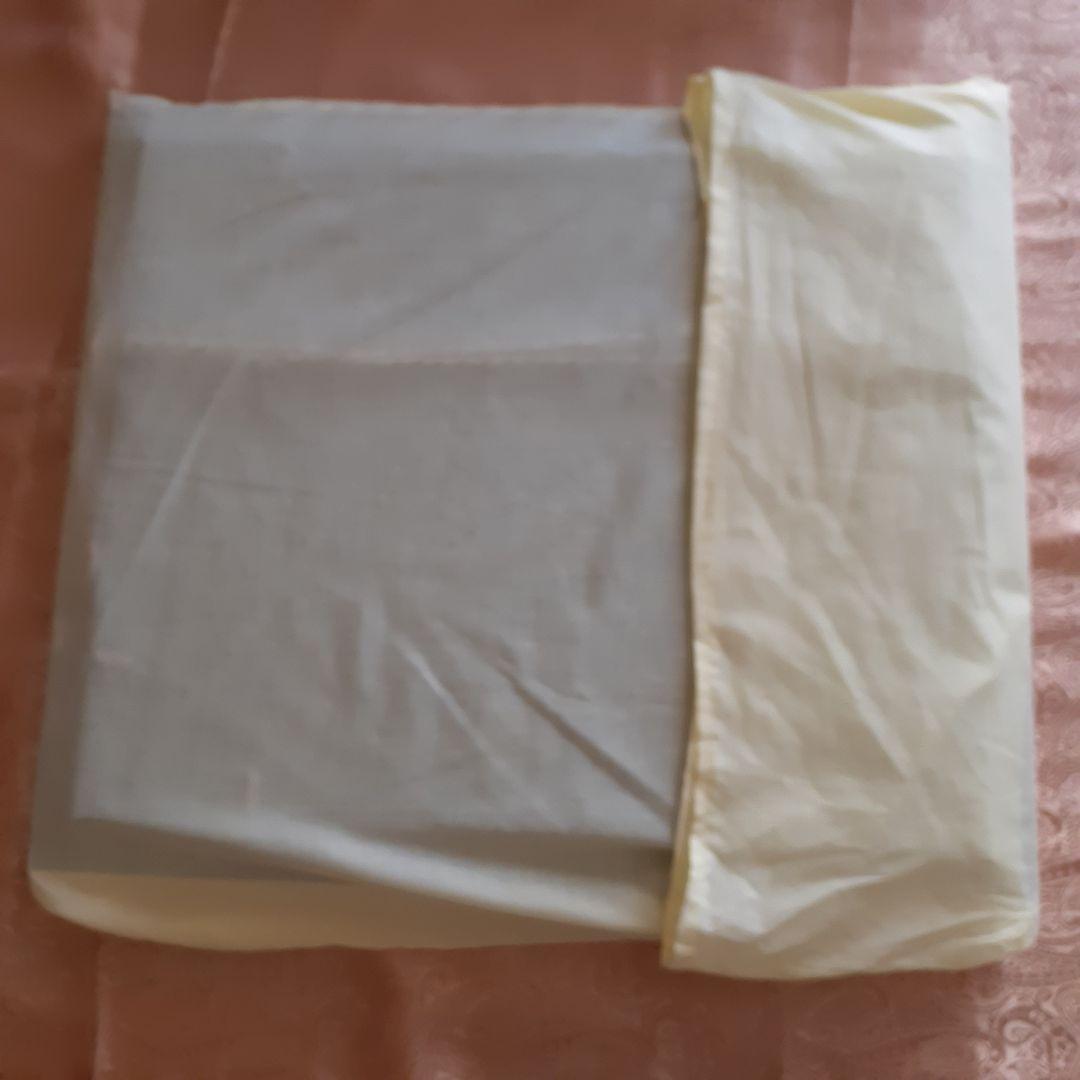 油絵　額縁入り「　シャチ　」　サイズF6