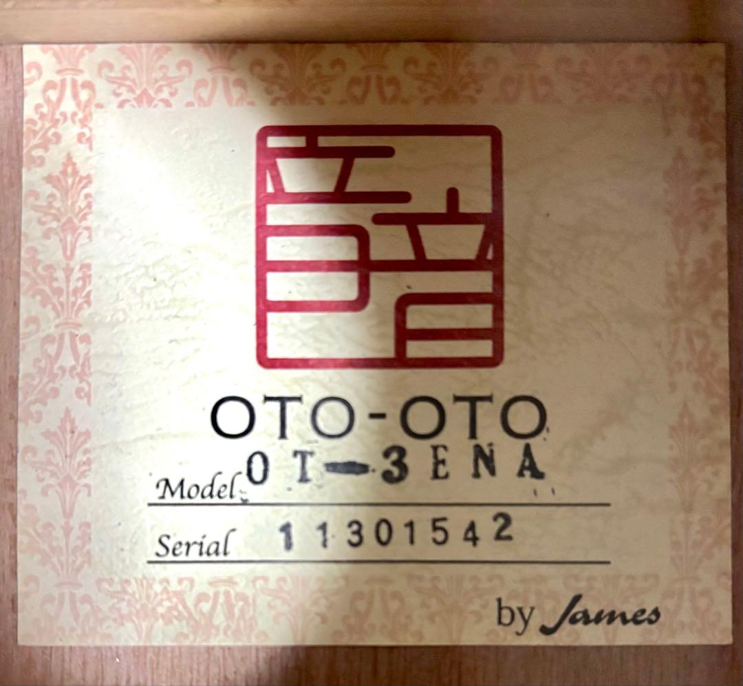 【新品弦張替済】音音 12弦エレアコ OT-3E NA by James