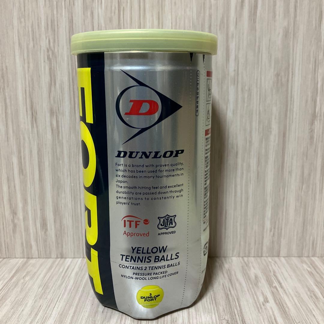 『新品』ダンロップ　フォート硬式テニスボール17個セット