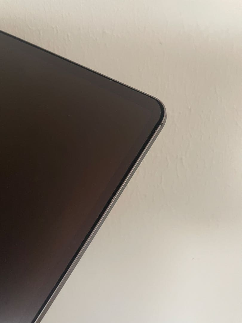 美品 ApplePencil付iPadpro 12.9 第3世代 256G特典有