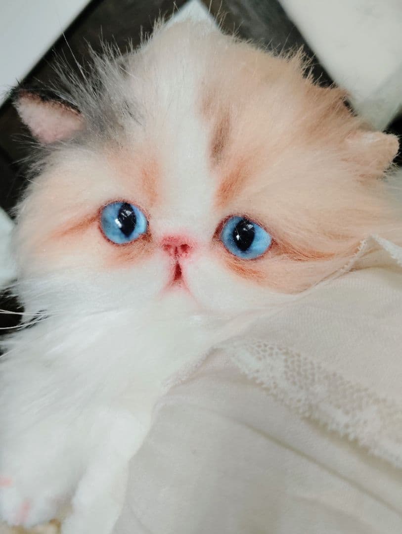 ハート模様❤子猫のドロップちゃん❤エキゾチック♡アートドール♡ぬいぐるみ♡