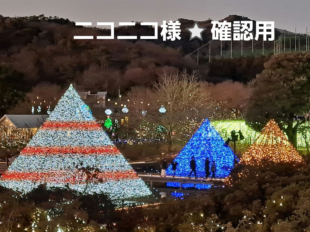 ニコニコ様⭐確認用