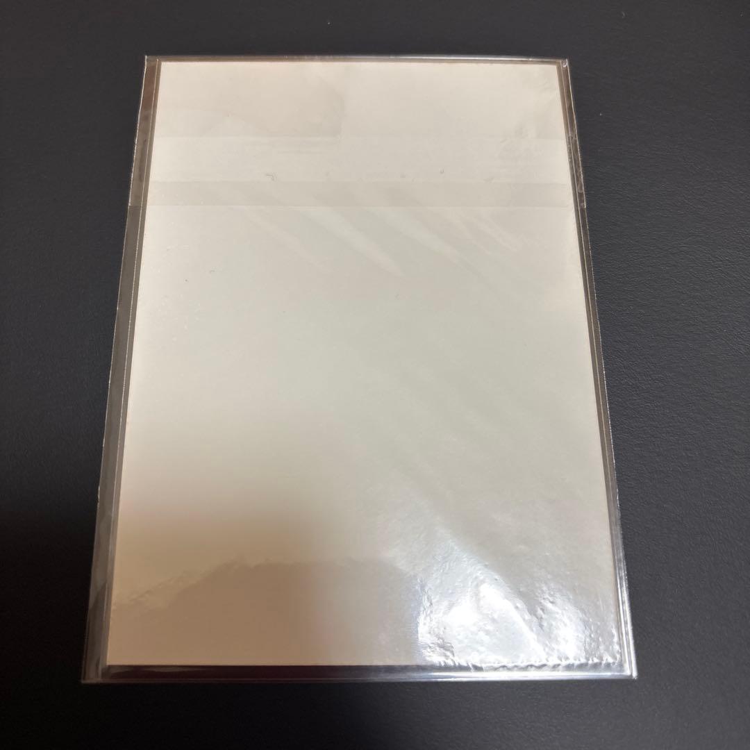 平手友梨奈 生写真フルコンプ＋特典生写真やポストカードなどのセット　完全引退品