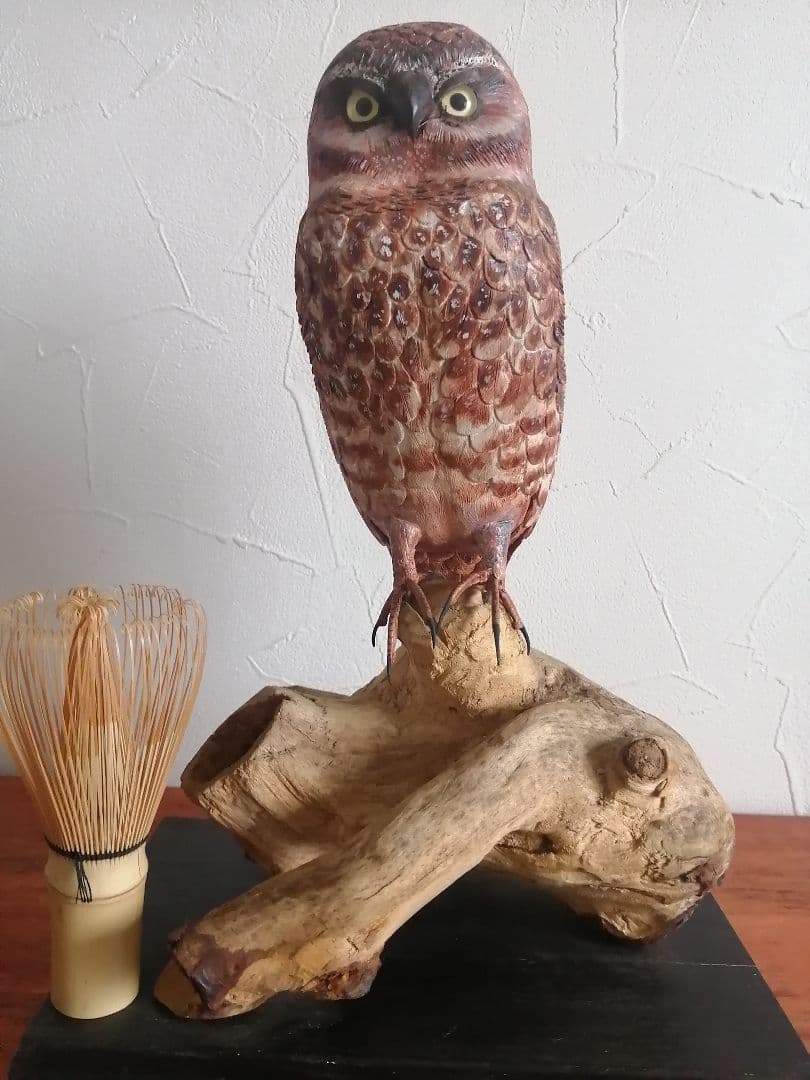 木製 アナホリフクロウ 梟 野鳥彫刻 バードカービング 木彫 野鳥