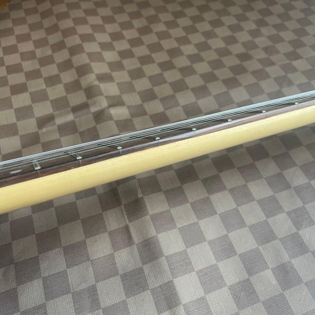 Photo Genic st ブルースケルトン　アクリルエレキギター 希少品