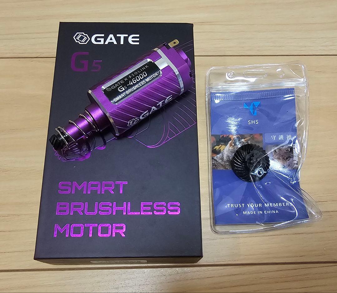 GATE G5 スマートブラシレスモーター SHS ヘリカルベベル ピニオン交換
