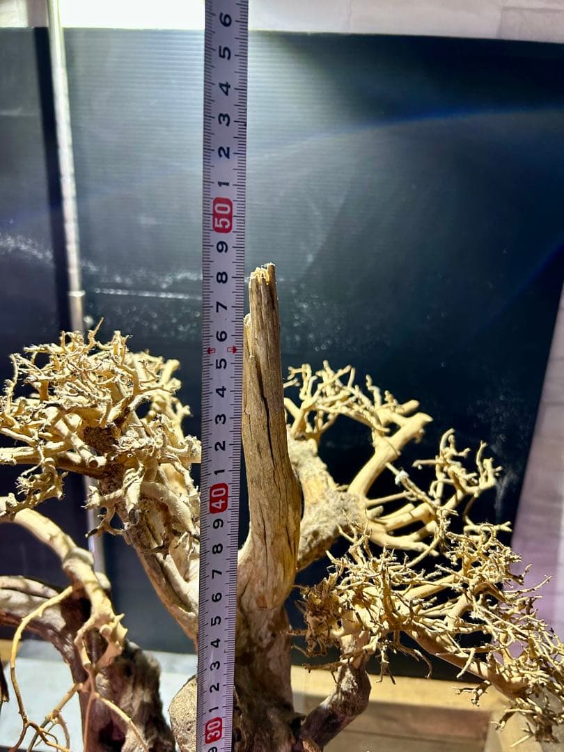 一点限り！超メルカリ市セール！盆栽流木XXLサイズ！