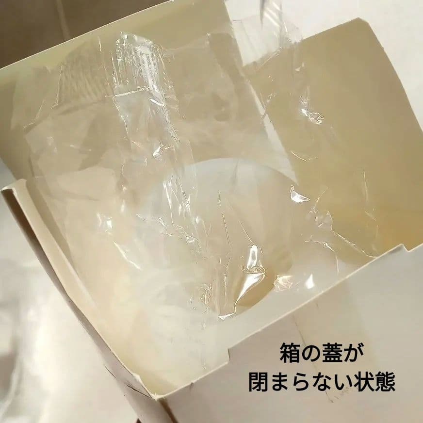 AeroDawg　エアロドッグ 犬用吸入器 専用マスク付き