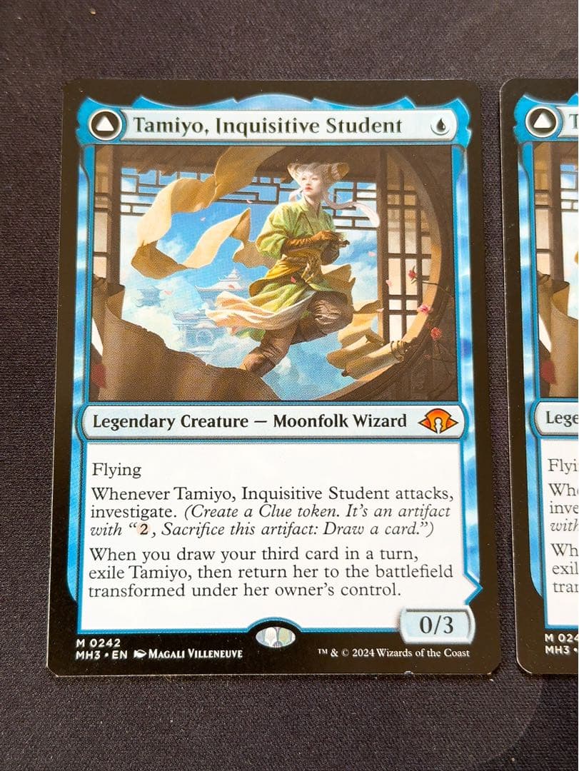 知りたがりの学徒、タミヨウ　英語　2枚セット