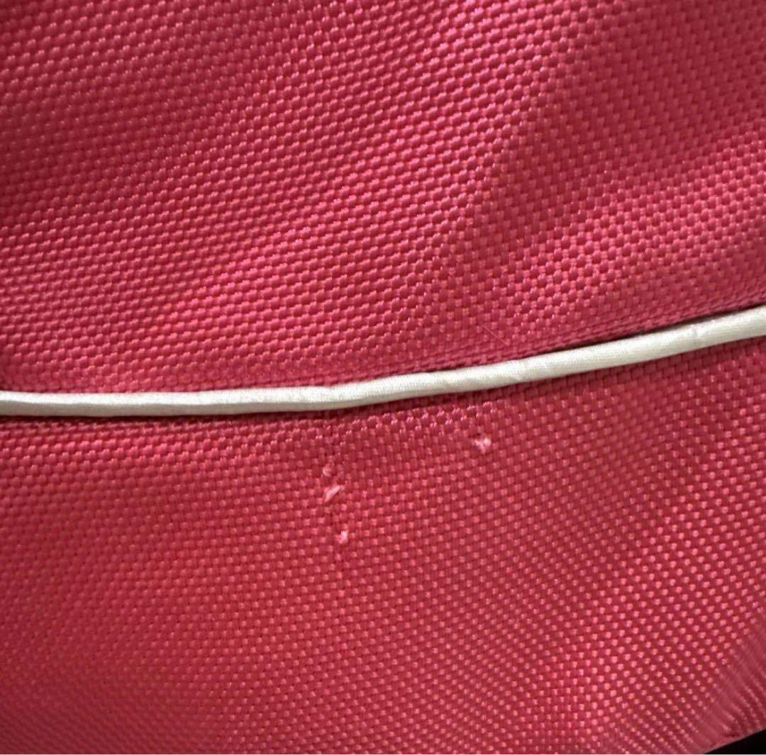 ひ*ん様 ピッコロカーネTANTOⅡ（タント ツー）ペットカート 難あり