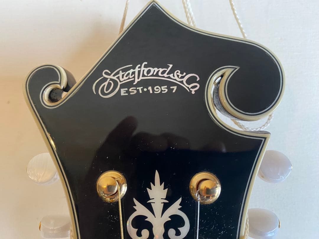 StaffordスタッフォードF-Style エレクトリック・フラットマンドリン