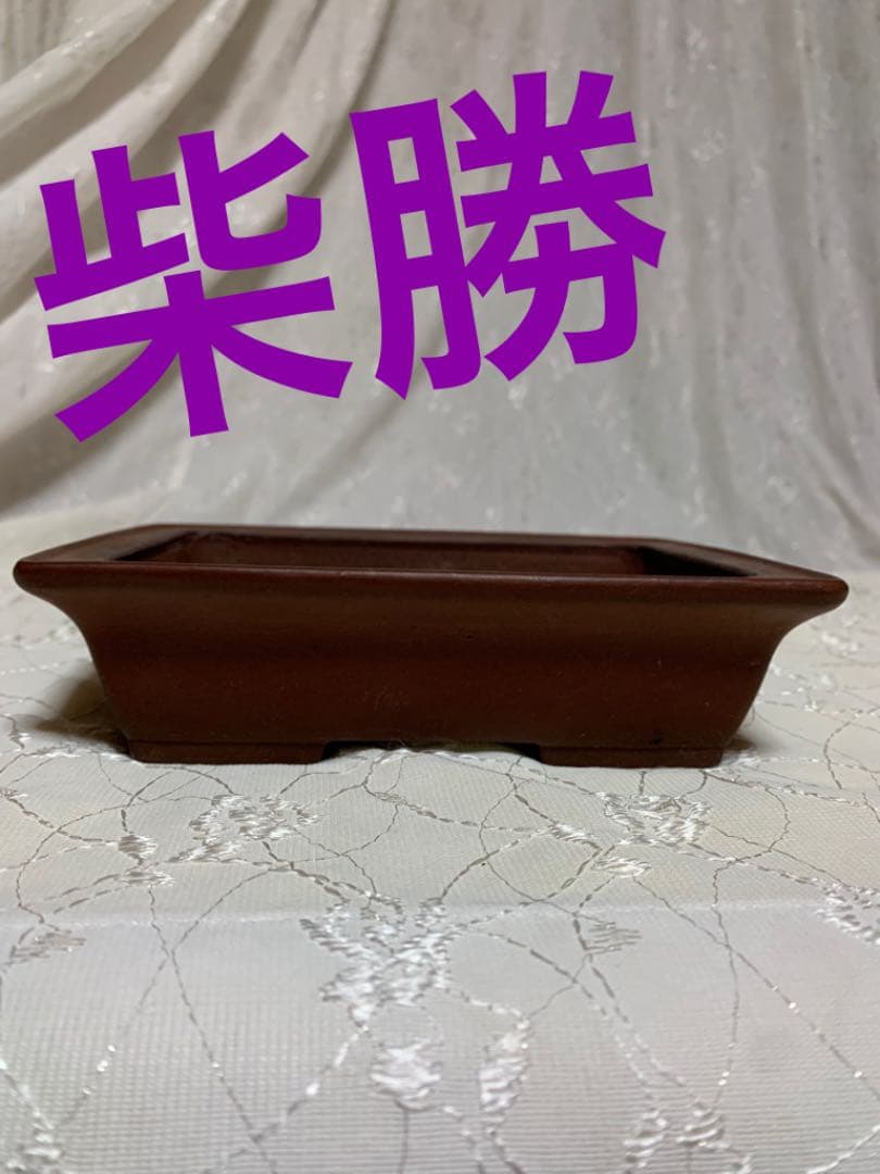 柴勝　長方　盆栽鉢