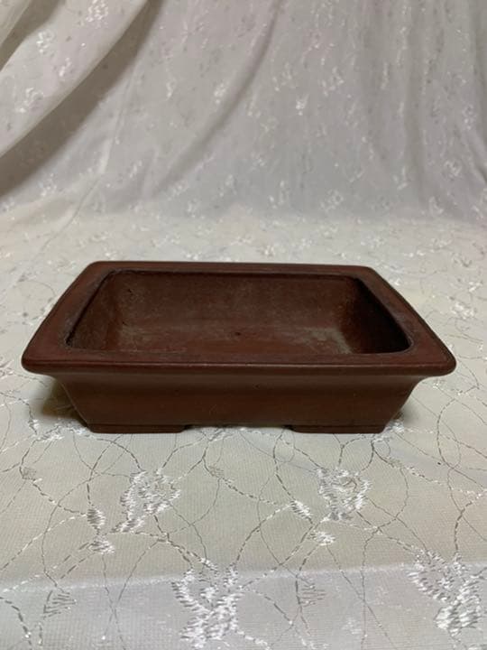 柴勝　長方　盆栽鉢