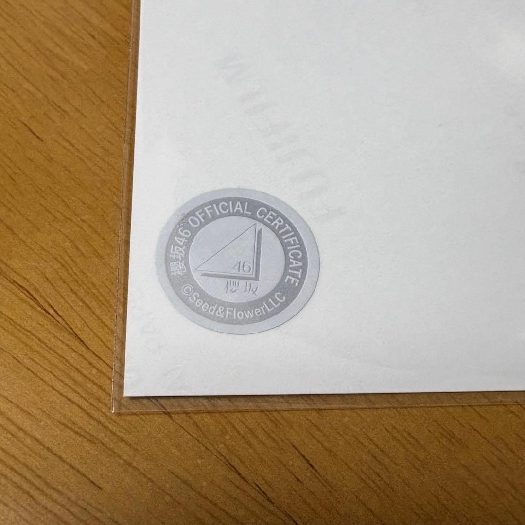 まーちゃそ◎櫻坂46 佐藤愛桜 直筆生写真 2025年サンタ　サイン