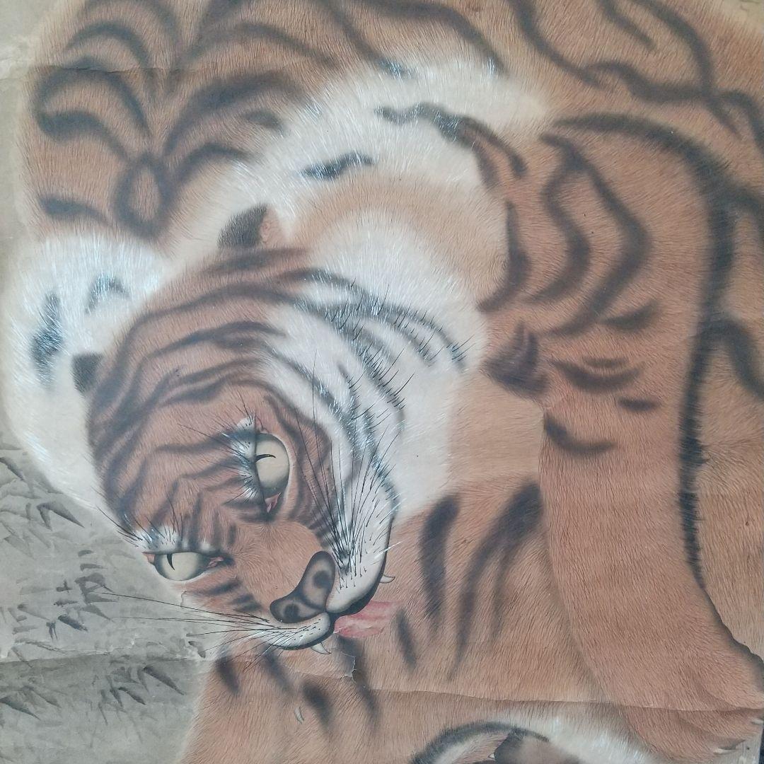 江戸絵画  虎  掛け軸  肉筆  江戸時代  貴重  骨董  茶道具