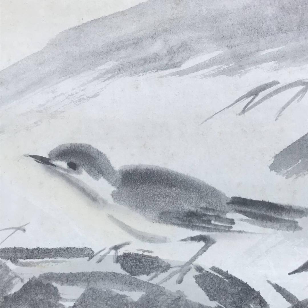 真作/川崎小虎/清流小禽図/川辺小鳥図/花鳥図/掛軸/名家伝来/AE-9