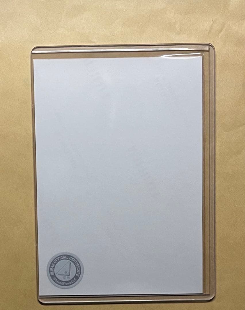 櫻坂46 生写真　藤吉夏鈴　サイン　2022年　クリスマスサンタ衣装