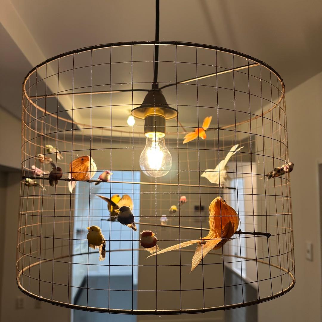 la voliere lamp (by Mathieu Challiéres)