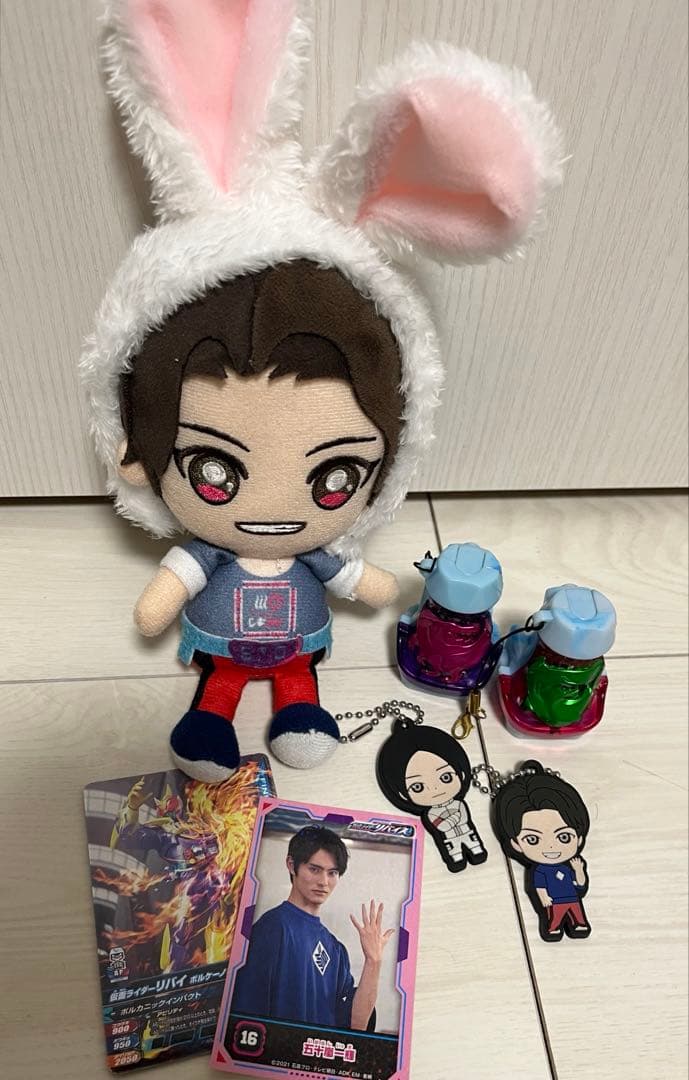 値下げ 仮面ライダーリバイス グッズ 前田拳太郎ぬいぐるみ （日向亘）