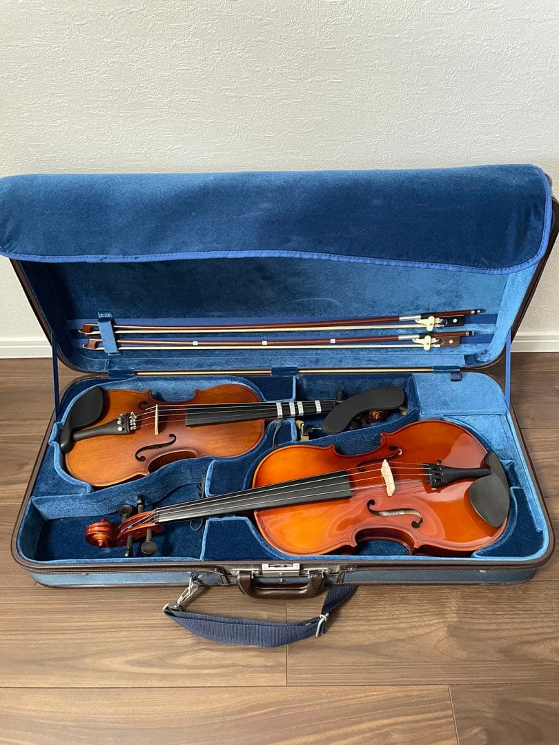 ビオラ　カルロジョルダーノ(VL-1)