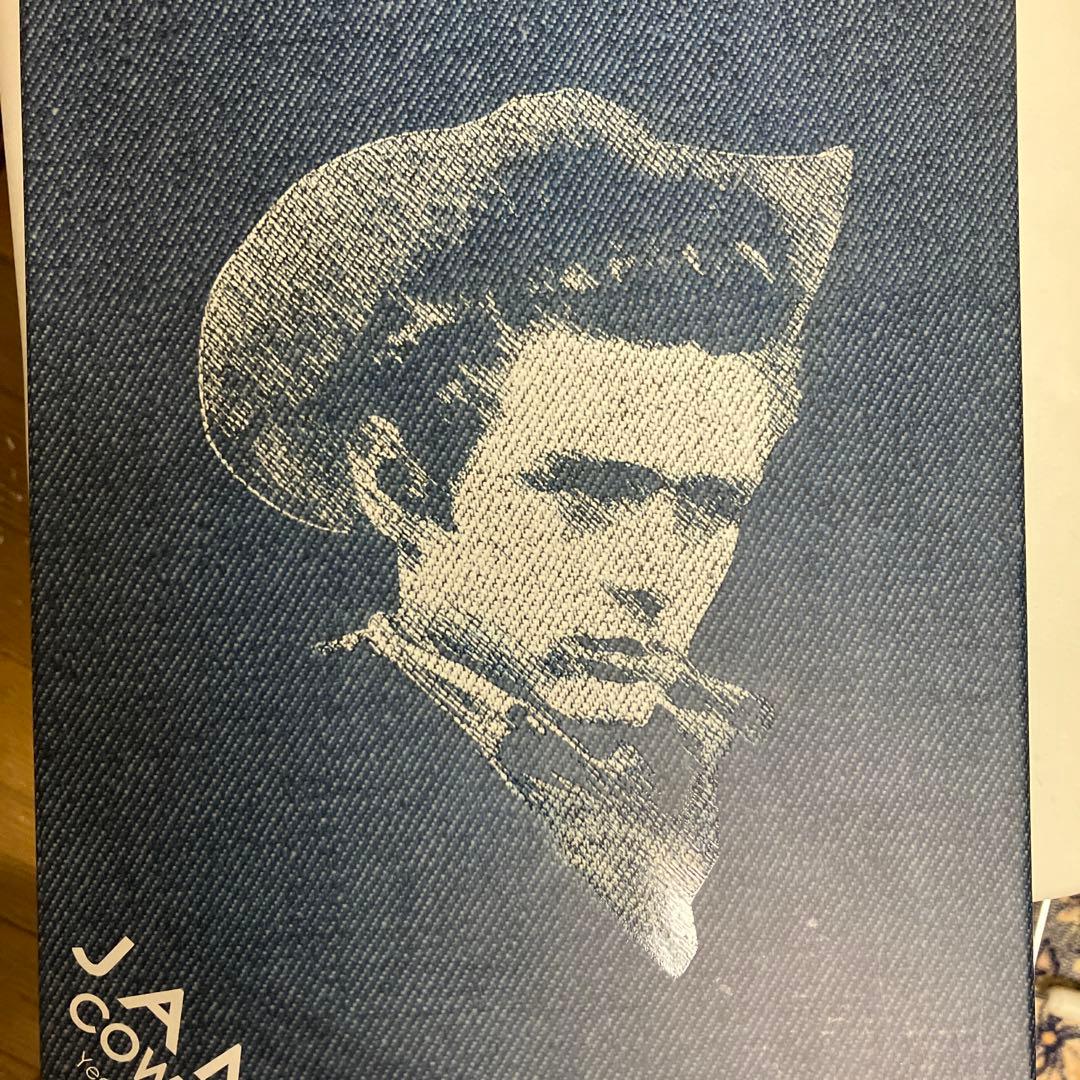 ホットトイズ　ジェームズ・ディーン　カウボーイ