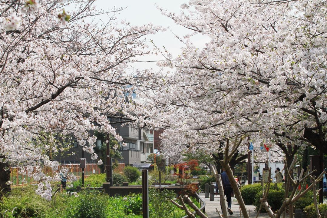【値下げ】Canon EF 70-200mm f/2.8L レンズ