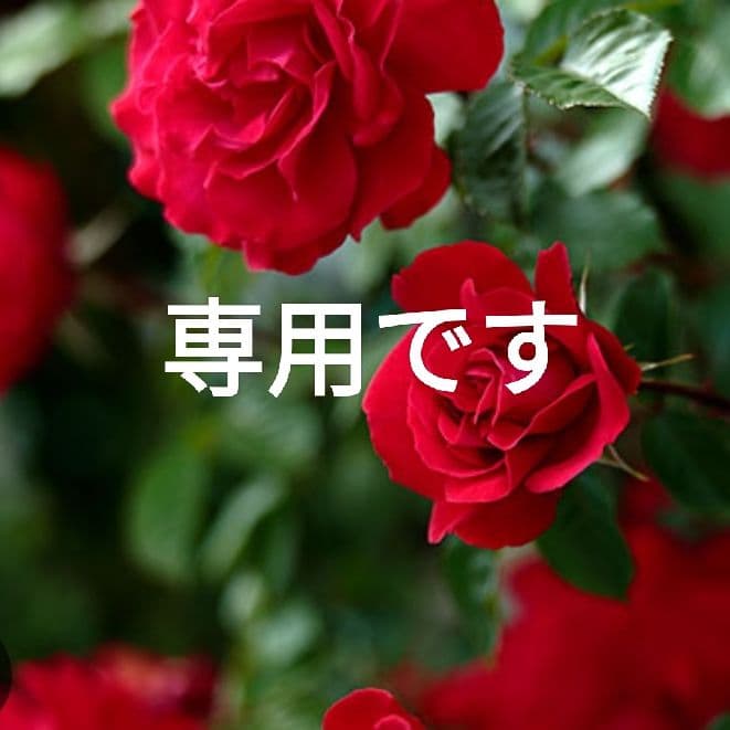 ダチリエさま専用【美品　高級感漂う黒の本革】ショルダーバッグ　バイソン刻印