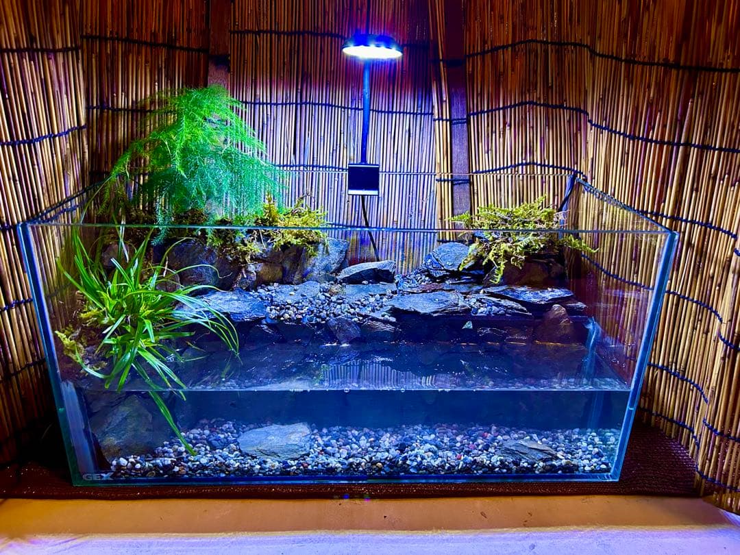 水の流れる滝テラリウム水槽　オールガラス45